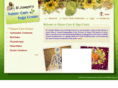 stjosephsnaturecurecentre.com