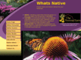 whatsnative.com