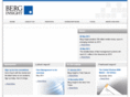 berginsight.com