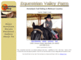 equestrianvalley.com