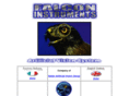 falconinstruments.it