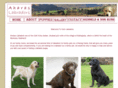 irishlabradors.net