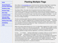multipleflags.com