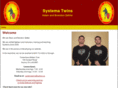 systematwins.com