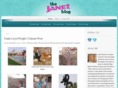 thejanetblog.com