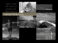 beaufortfishingguide.com