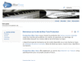 bluetoneproduction.com