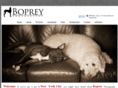 boprey.com