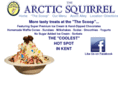 thearcticsquirrel.com