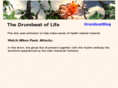 drumbeatoflife.com