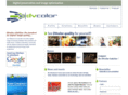 dvcolor.com