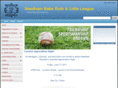 needhambaseball.com