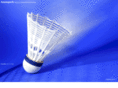 regionalbadminton.com