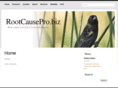 rootcausepro.biz