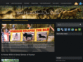 wildhorsesneedourvoices.com