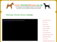 terrierrescue.co.uk