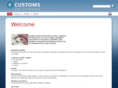 e-customsondemand.com