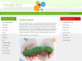 hoodiagordoniipick.com