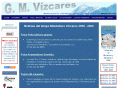 vizcares.com