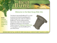 bestbung.com