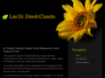 dineshchandra.com