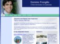 dominicfrongillo.org