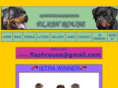flashrouse.com