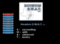 houstonswatvolleyball.com