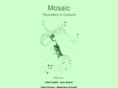 mosaicrecorders.com