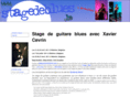 stagedeblues.be