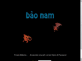 baonam.com