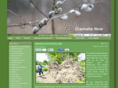 cramahe-now.com