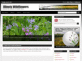 illinois-wildflowers.com