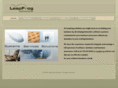 leapfrogsoln.com