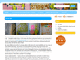 studiomomelissa.com