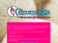 gimmicksicecream.com