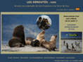 lesderoutes.com