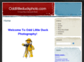 oddlittleduckphoto.com