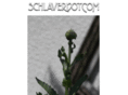schlaver.com
