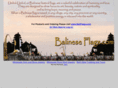 balineseflags.com