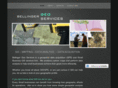 bellingergeo.com
