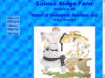 guinearidgefarm.com