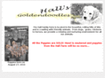 hallsgoldendoodles.com