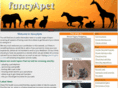fancyapet.co.uk
