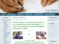 letraparaguay.com