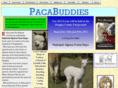 pacabuddies.com