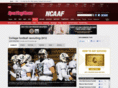 therecruitniks.com