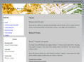 aurora-pc-service.com