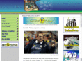 ferrettifutsal.com