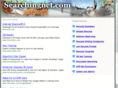searchingnet.com